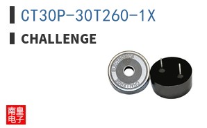 CT30P-30T260-1X ͼƬ